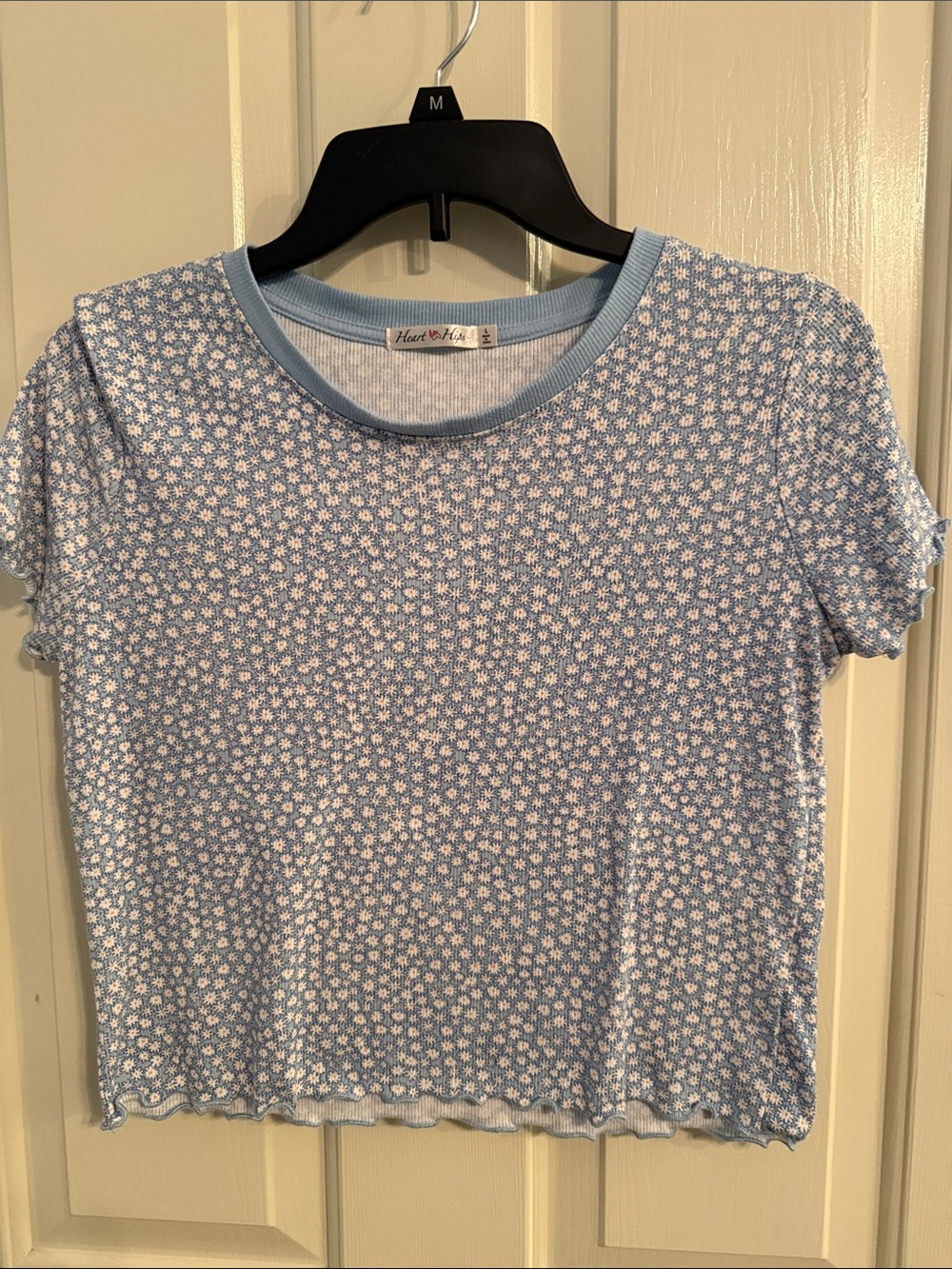 Heart Hips Light Blue Daisy Crop Top